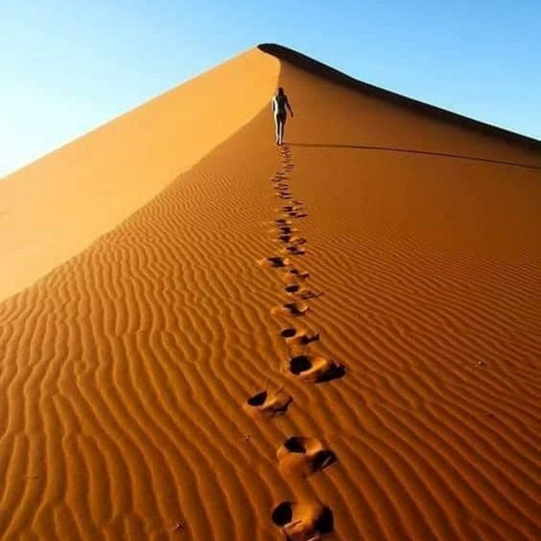 In der Wüste...