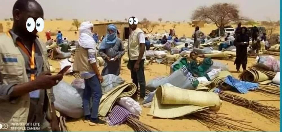 Annalena Baerbock Niger Entwicklungshilfe